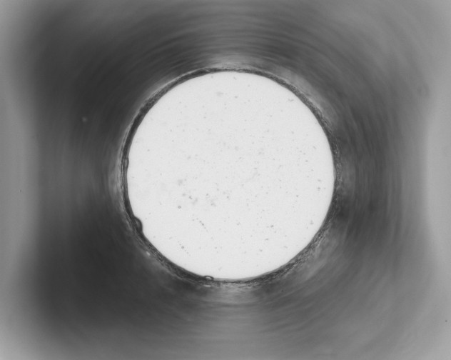 X0000100930848200807221135