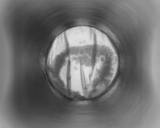 X0000100930849200807221135