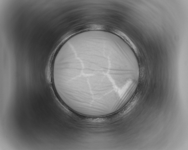 X0000100930851200807221135