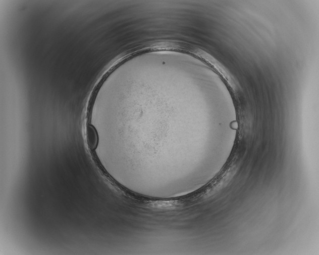 X0000100930853200807221135