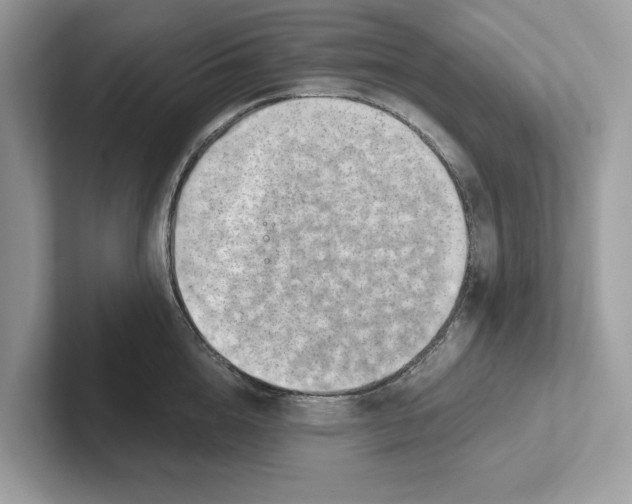 X0000100930856200807221135