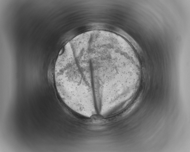 X0000100930857200807221135