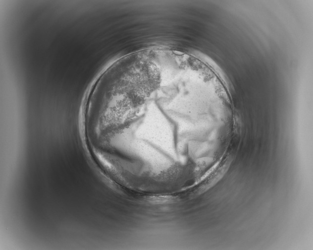 X0000100930859200807221135