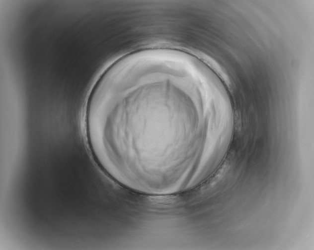 X0000100930863200807221135