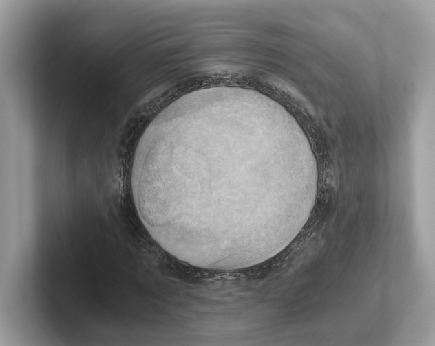 X0000100930869200807221135