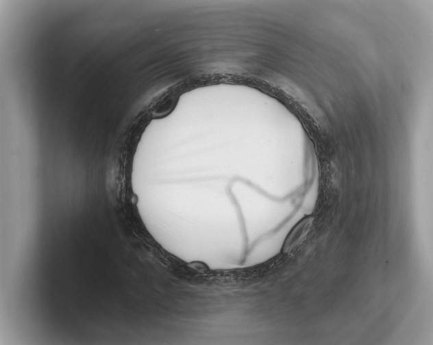 X0000100930872200807221135