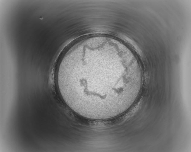 X0000100930875200807221135