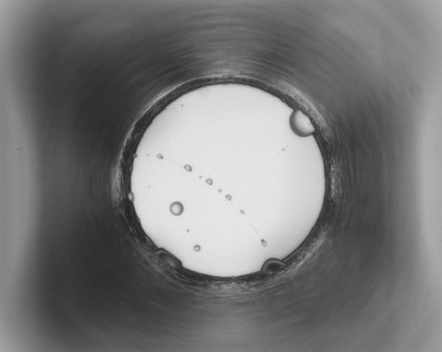 X0000100930876200807221135