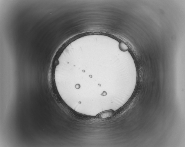 X0000100930880200807221135