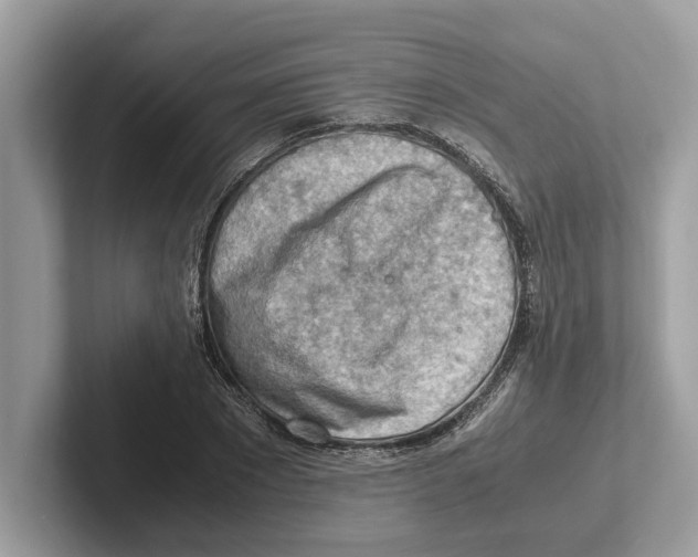 X0000100930881200807221135