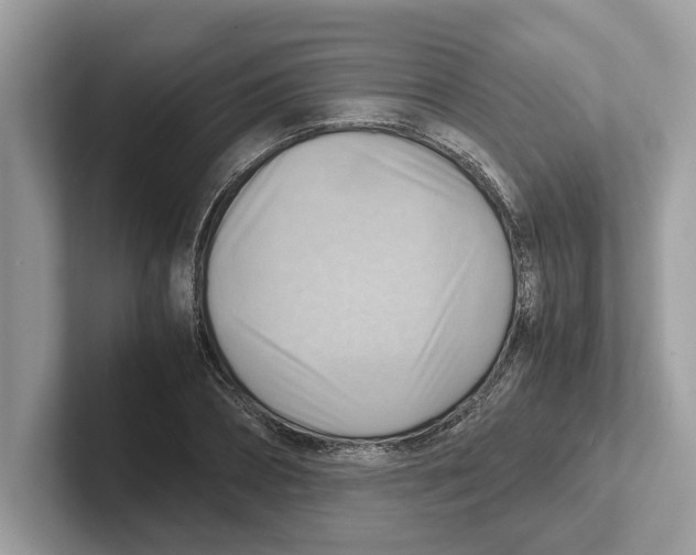 X0000100930882200807221135