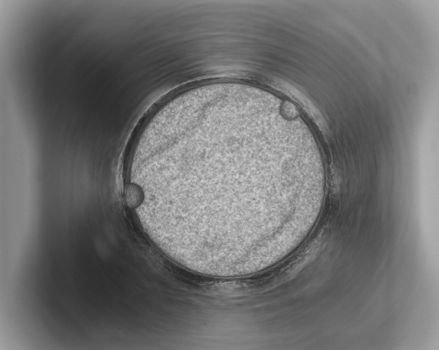 X0000100930883200807221135