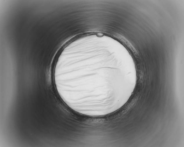 X0000100930884200807221135