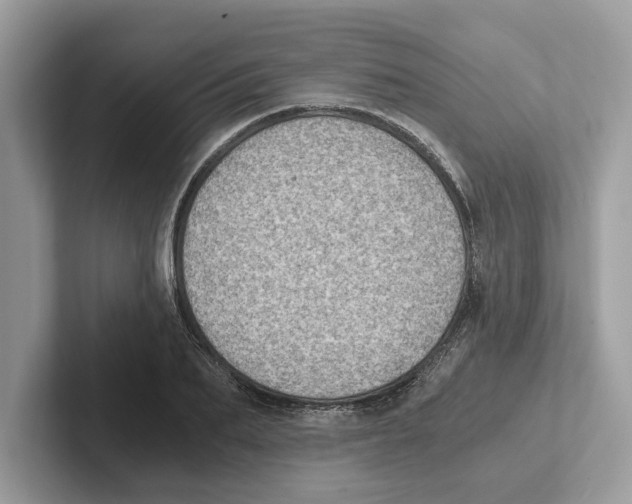 X0000100930887200807221134