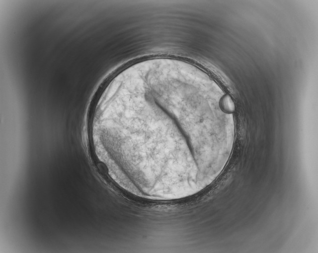 X0000100930888200807221134