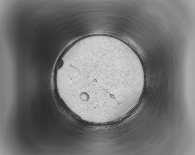 X0000100930892200807221134