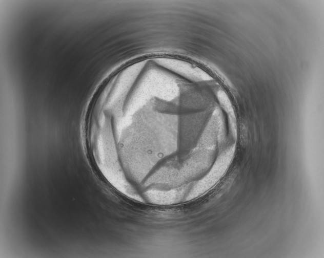 X0000100930895200807221134