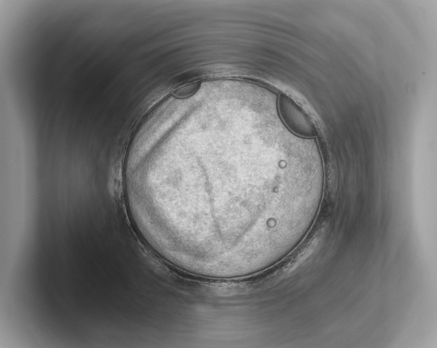 X0000100930897200807221134