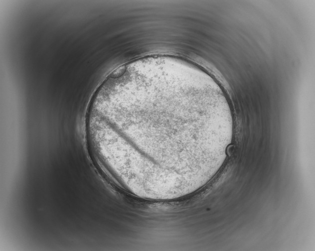 X0000100930898200807221134