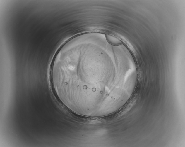 X0000100930899200807221134