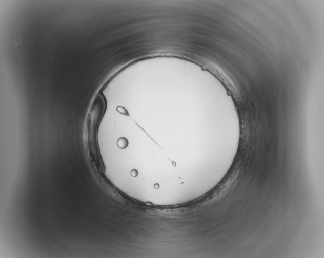 X0000100930900200807221134