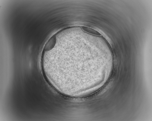 X0000100930901200807221134