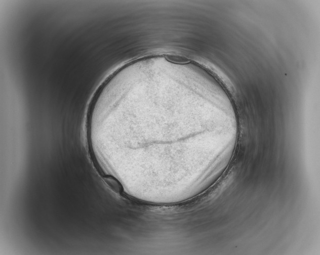 X0000100930902200807221134