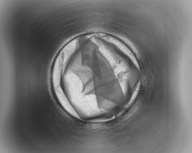 X0000100930903200807221134