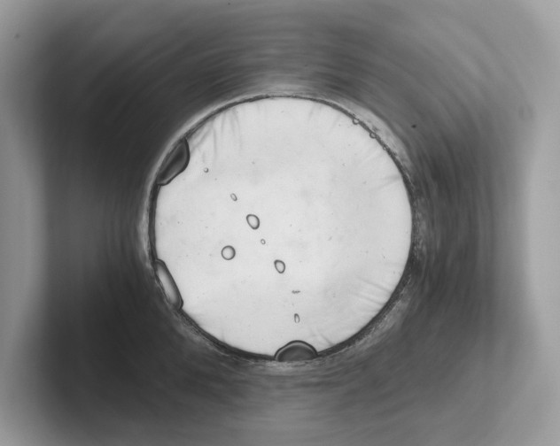 X0000100930904200807221134