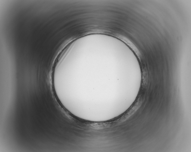 X0000100930906200807221134