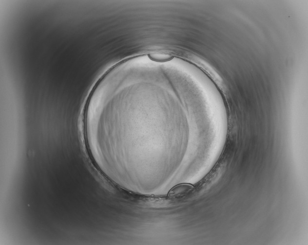 X0000100930907200807221134