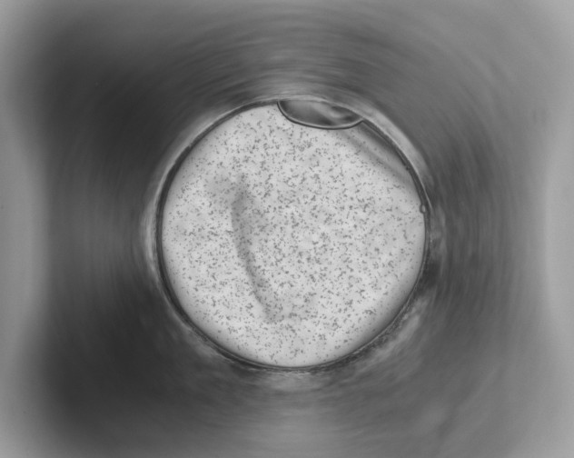 X0000100930909200807221134