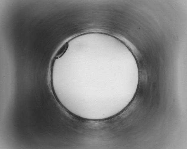 X0000100930910200807221134