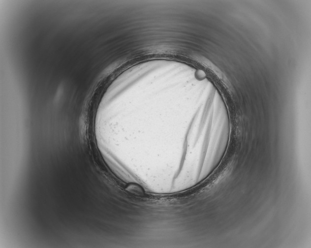 X0000100930922200807221134