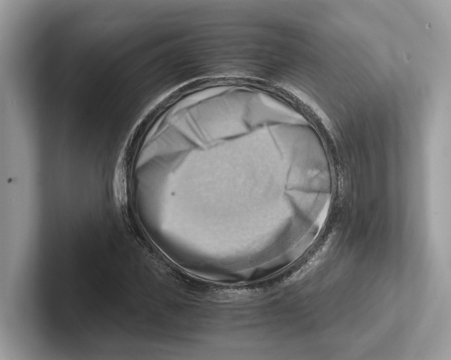 X0000100930925200807221134