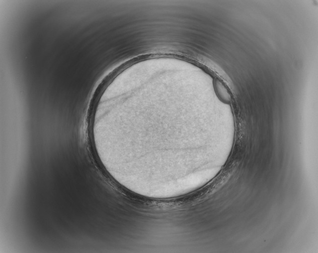 X0000100930928200807221134