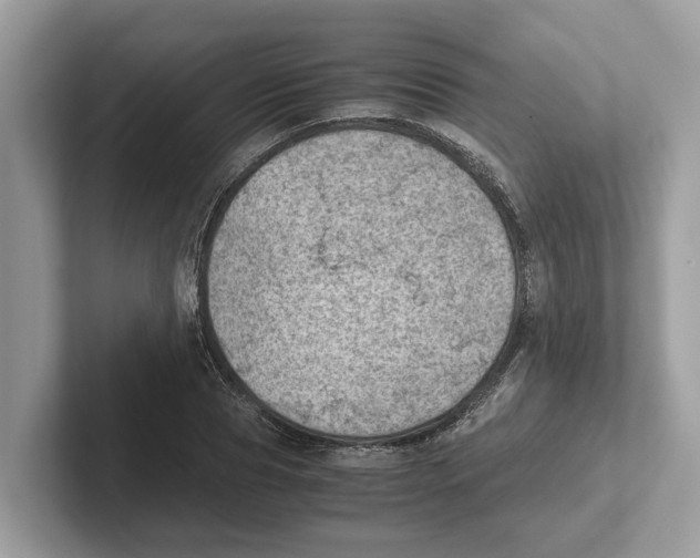 X0000100930929200807221134