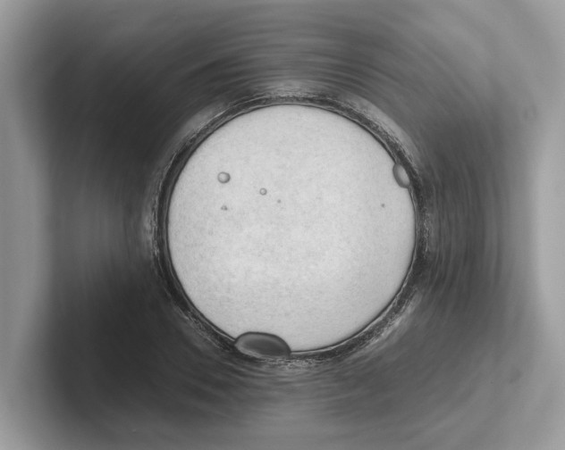 X0000100930930200807221134