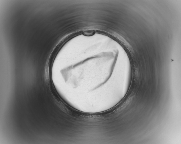 X0000100930934200807221134