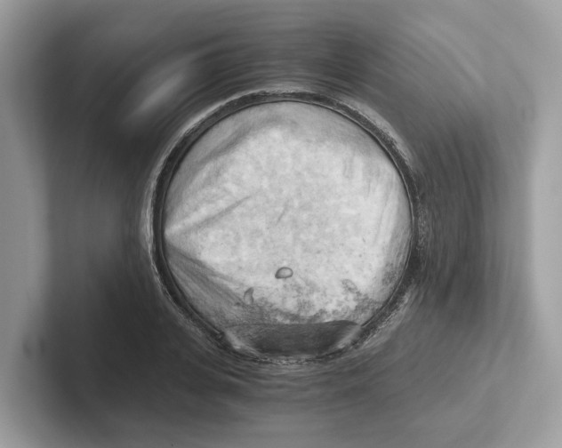 X0000100930935200807221134