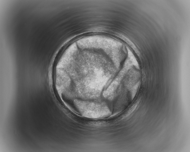 X0000100930939200807221134