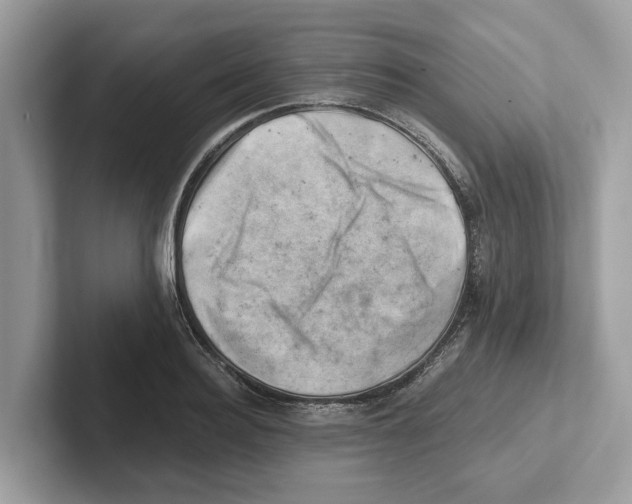 X0000100930940200807221134