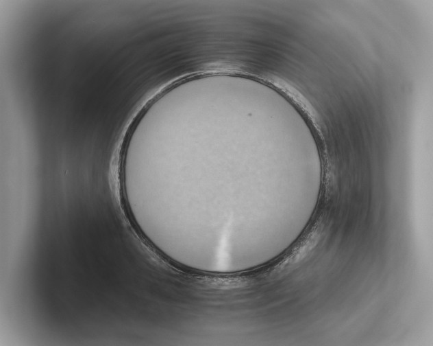 X0000100930941200807221134