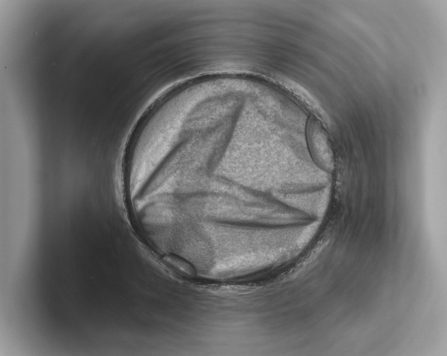 X0000100930942200807221134