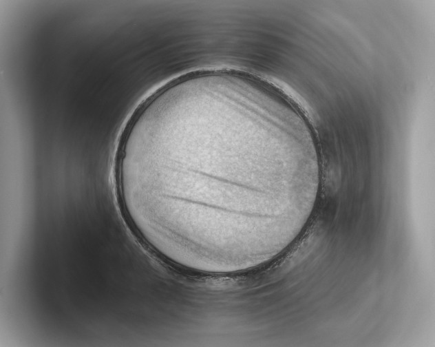 X0000100930943200807221134