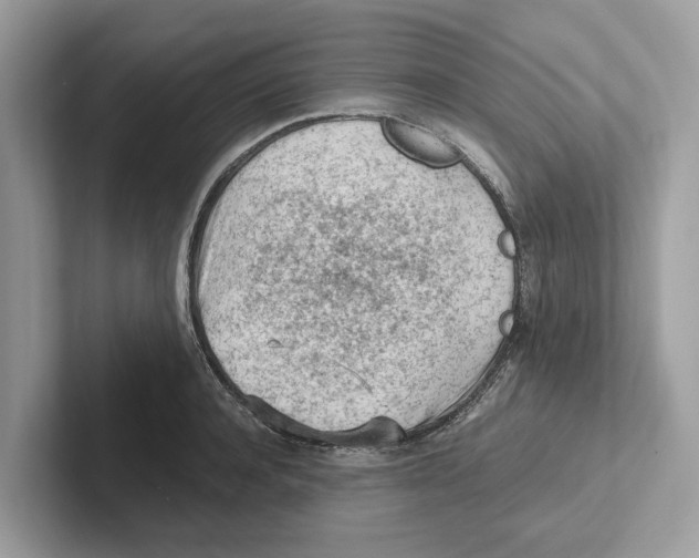 X0000100930944200807221134