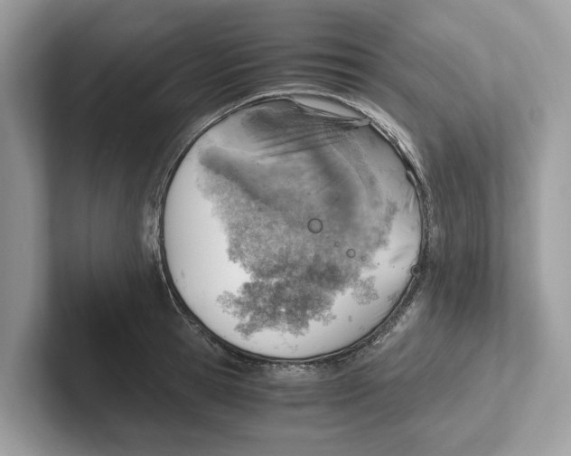 X0000100930945200807221134