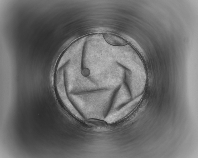 X0000100930946200807221134