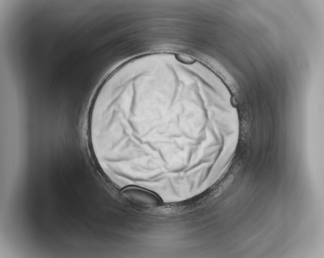 X0000100930948200807221134