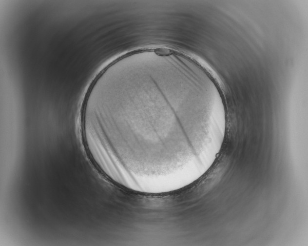 X0000100930951200807221134